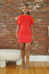 Organza Mini Dress- Red